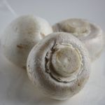 Prov�nszi gombafejek
