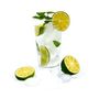 Mojito Mojito