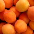 Sárgabarack mascarponeval Sárgabarack mascarponeval