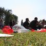 Z�ld Sziget