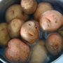 Taramasala Taramasala
