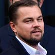 Leonardo DiCaprio lehet a reneszánsz ember Leonardo DiCaprio lehet a reneszánsz ember