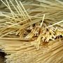 Gombakrémes spagetti Gombakrémes spagetti
