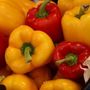 Töltött paprika Töltött paprika