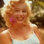 48 �ve halt meg Marilyn Monroe